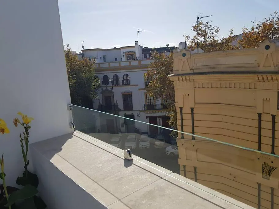 Atico C/ Adriano_Catedral. Apartment Seville